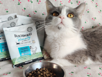 少走弯路科学养猫，推荐一款珀萃猫粮