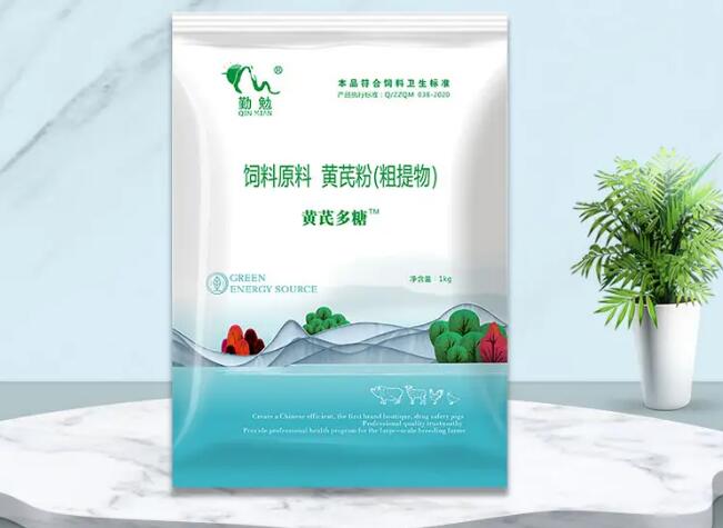 黄芪多糖主要治什么