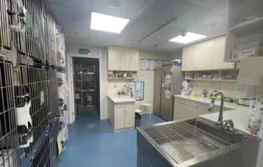 东台宠物医院哪家好 东台宠物医院哪家好