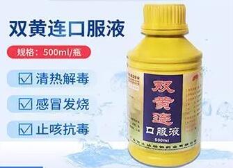 双黄连口服液兽用价格