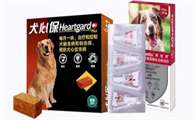 吃犬心保把狗狗吃死了