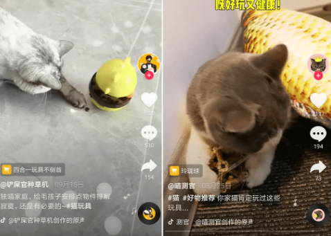 抖音萌宠账号排行榜分析