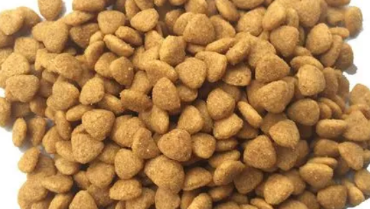 如何去买土狗狗幼犬粮和狗粮呢
