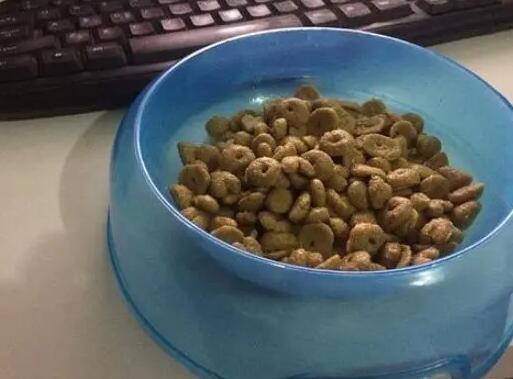 如何筛选狗粮好坏 如何筛选狗粮好坏