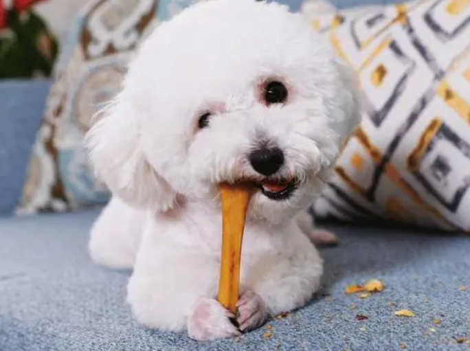 狗多久吃一次磨牙棒？