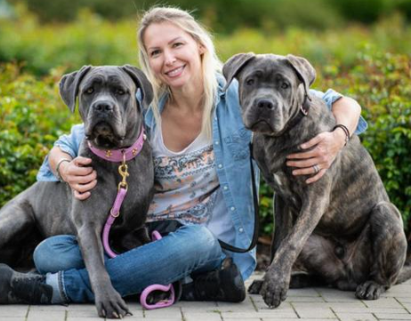 女生适合养的护卫犬有哪些品种