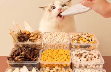 东匠宠物食品好不好 东匠宠物食品好不好
