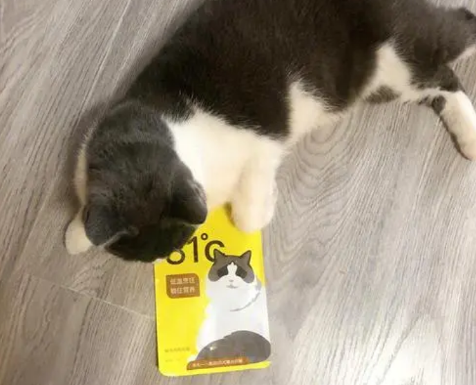 petalk宠心语猫粮多少钱 petalk宠心语猫粮多少钱