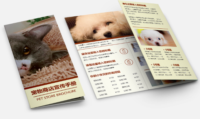 宠物家庭寄养怎么宣传