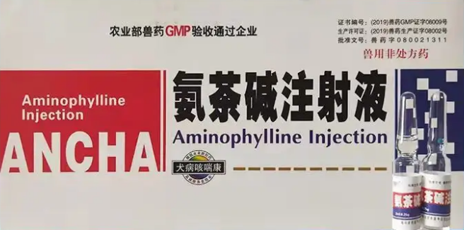 氨茶碱主要治疗什么