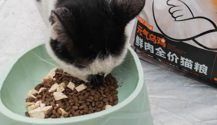 哪种猫粮比较健康又不贵?一定要知道 哪种猫粮比较健康又不贵?一定要知道
