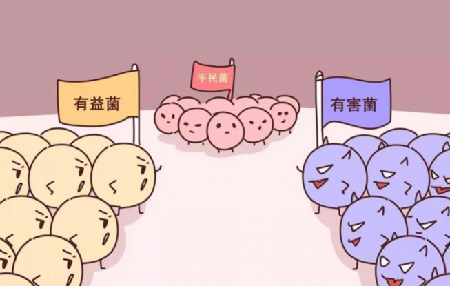 2个月泰迪拉屎费力怎么回事？来了解下吧