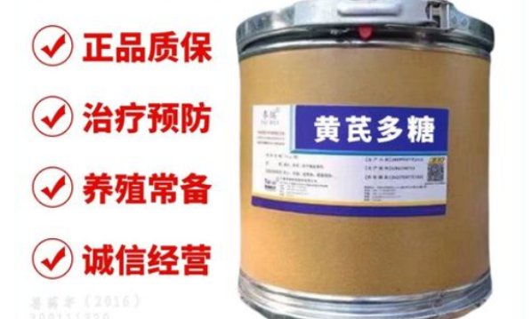 黄芪多糖厂家哪里好