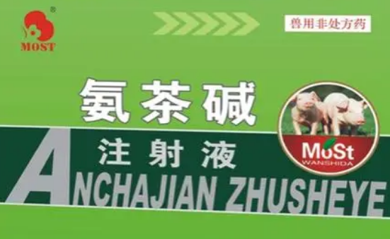 氨茶碱是治什么的