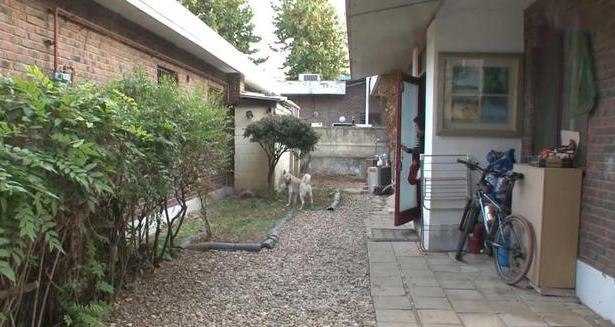 宠物犬性情大变,对主人都龇牙咧嘴 宠物犬性情大变,对主人都龇牙咧嘴