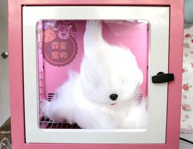 霖鉴宠物烘干箱怎么样
