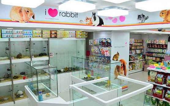 韩国宠物店名字大全 韩国宠物店名字大全