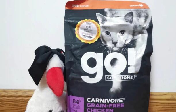 go猫粮国际版有什么区别 go猫粮国际版有什么区别