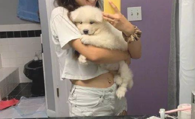又一个惨案出现:狗狗小时候一定不能经常抱,否则... 又一个惨案出现:狗狗小时候一定不能经常抱,否则...