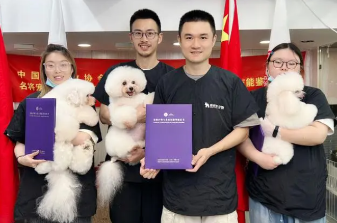 开宠物美容店需要什么证 开宠物美容店需要什么证
