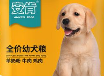 安肯狗粮怎么样 安肯狗粮怎么样