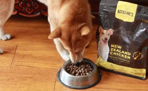 如何挑选黄色柴犬狗粮呢 如何挑选黄色柴犬狗粮呢