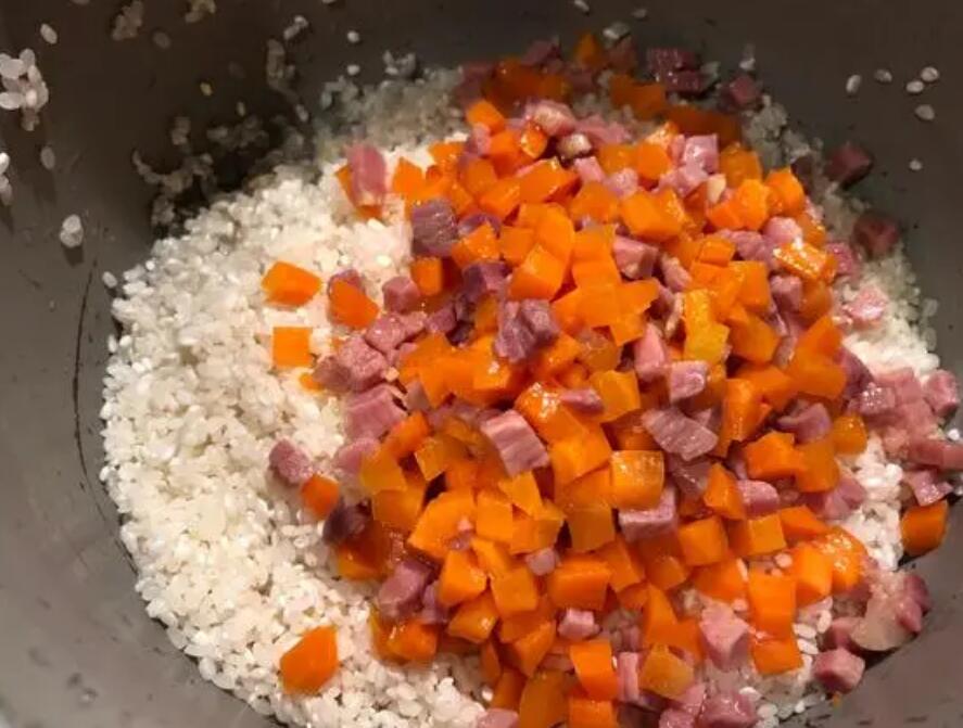 如何给猫咪自制胡萝卜鸡肉菜饭？