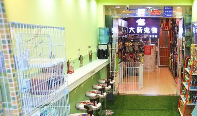 宠物店寄养动物多少钱