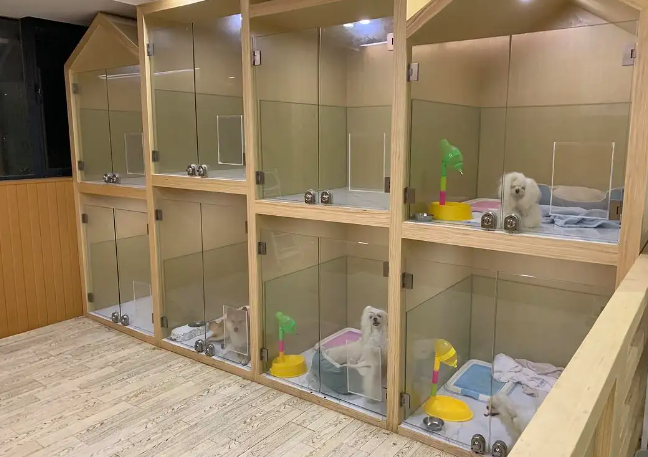狗狗可以寄养在哪里-宠物网