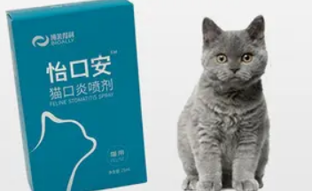 猫咪口腔溃疡、口臭吃什么药好? 猫咪口腔溃疡、口臭吃什么药好?