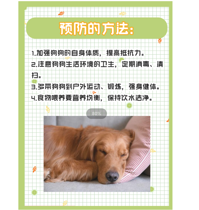 狗狗小叶性肺炎的缘故及医治。铲屎官必读！