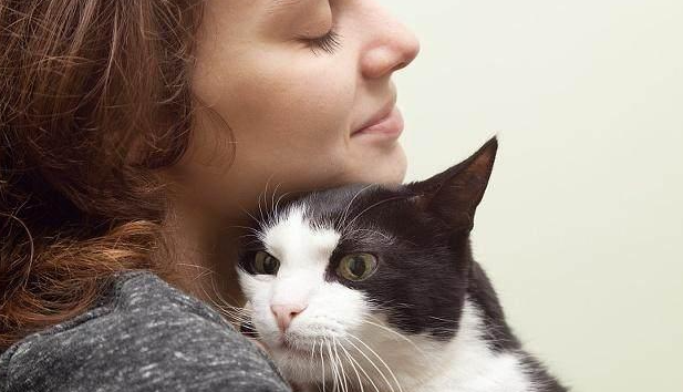 猫咪破坏家具正确训练猫抓板呢？