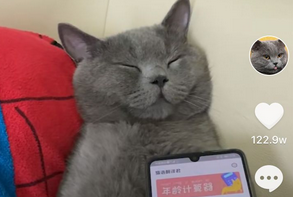 吸引人的抖音宠物简介