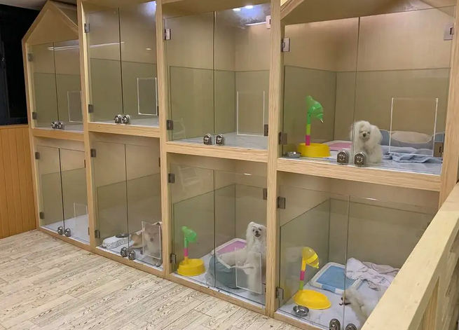 开一个宠物店需要什么流程 开一个宠物店需要什么流程