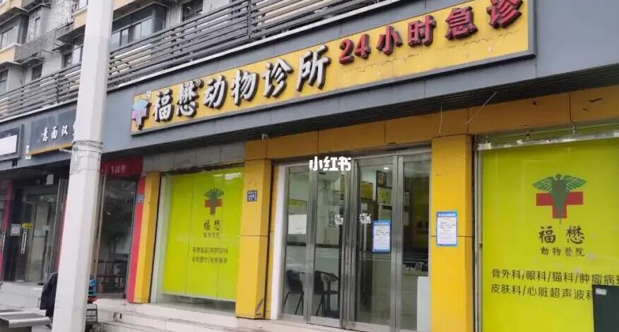 开一家宠物医院怎么样啊 开一家宠物医院怎么样啊