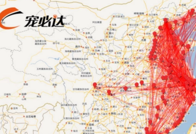 什么宠物托运公司好 什么宠物托运公司好