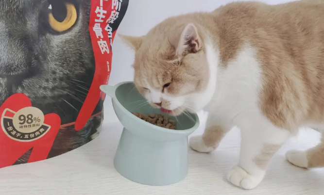 莱野猫粮怎么样 莱野猫粮怎么样
