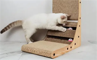 猫多大玩猫抓板比较好