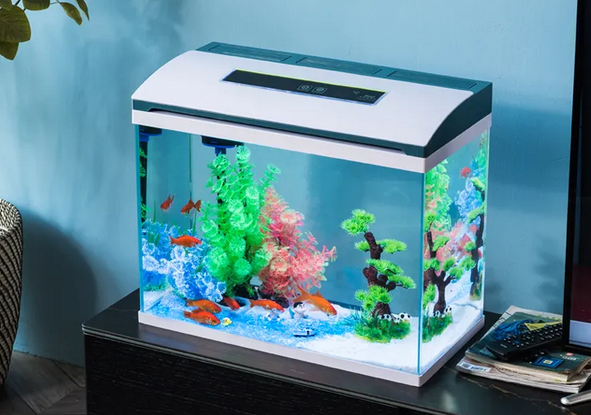怎样给小型鱼缸注水呢 怎样给小型鱼缸注水呢