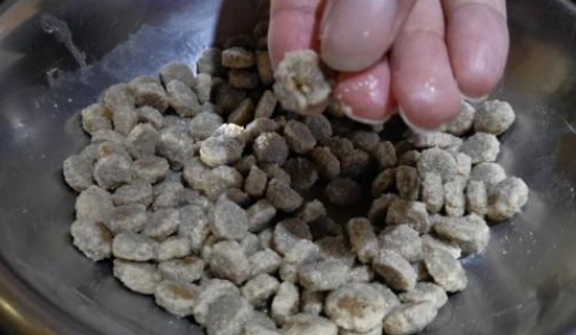 怎么分辨狗粮是否过期