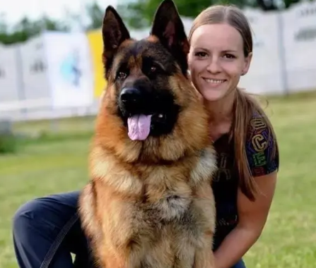 什么狗适合女人养