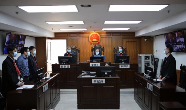 天上掉下来一只狗,被砸中的女子成一级伤残,法院判赔117万 天上掉下来一只狗,被砸中的女子成一级伤残,法院判赔117万