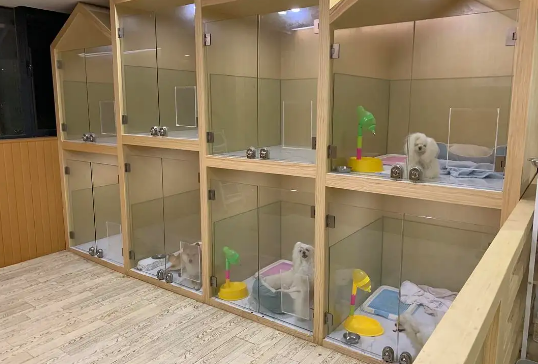 加盟宠物店要多少钱需要多少钱