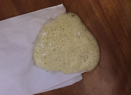 狗狗吐黄水带泡沫怎么办?来看这! 狗狗吐黄水带泡沫怎么办?来看这!