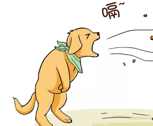 小狗胃胀气会威协性命?宠物医生:这并不是耸人听闻,防范很重要 小狗胃胀气会威协性命?宠物医生:这并不是耸人听闻,防范很重要