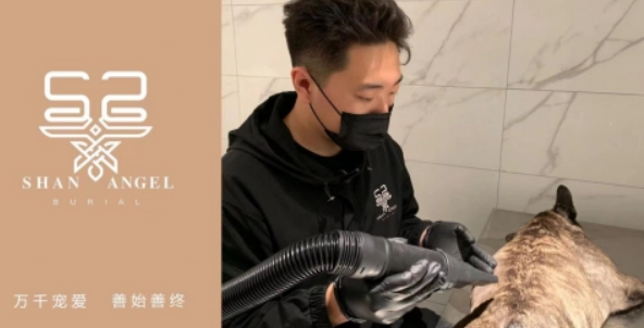 shanangel善使服务好嘛 shanangel善使服务好嘛