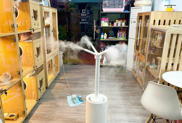 猫舍怎样消毒效果最好