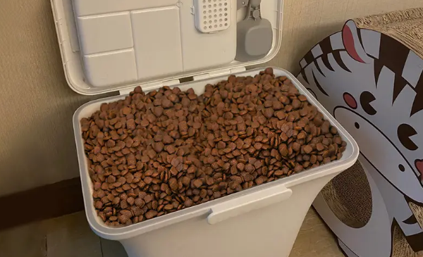 如何管理猫粮狗粮呢? 如何管理猫粮狗粮呢?