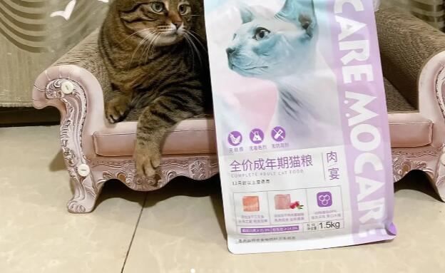胖嘟嘟猫咪养成计划～魔咖猫粮来帮您
