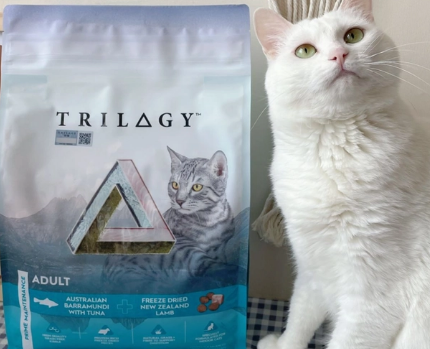 奇境猫粮怎么样?看完这篇全面测评,选粮不再纠结 奇境猫粮怎么样?看完这篇全面测评,选粮不再纠结